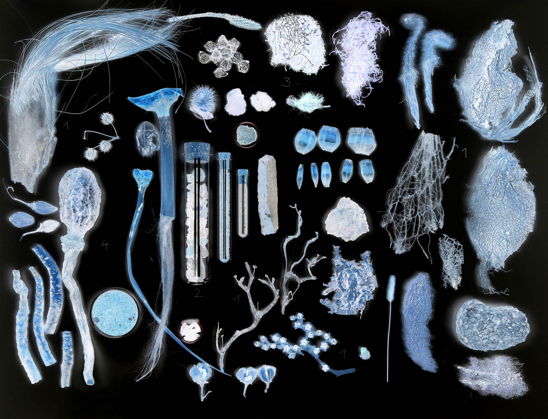 Collage aus der Sammlung - Heinsdorff
