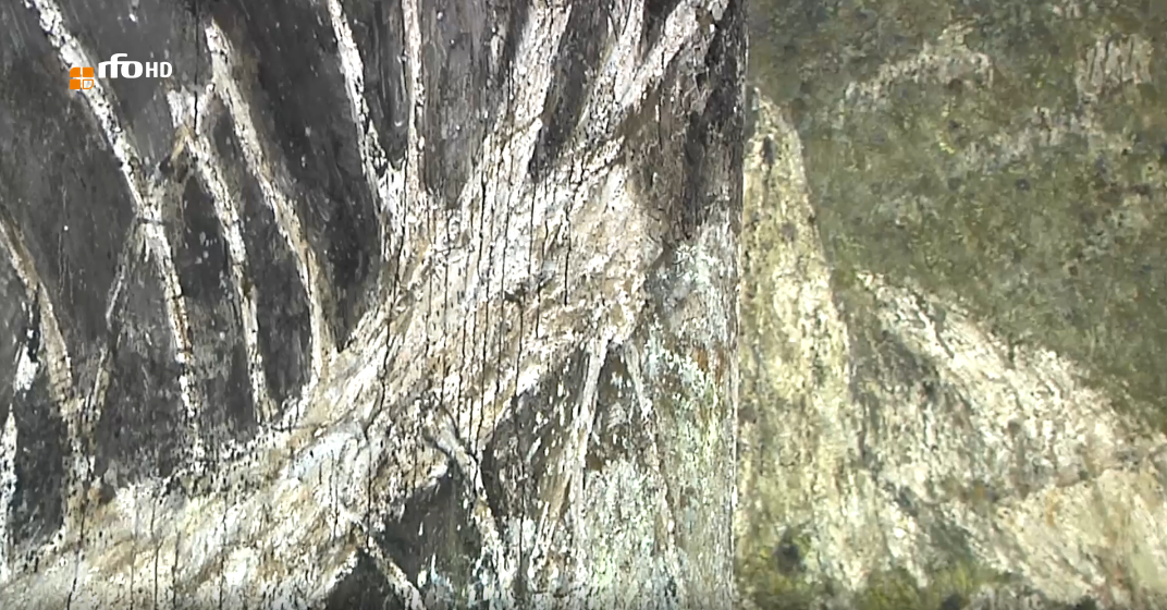 Screenshot 2025 08 06 at 14 16 33 Dunkelheit kommt in die Studienkirche St  Josef in Burghausen rfo