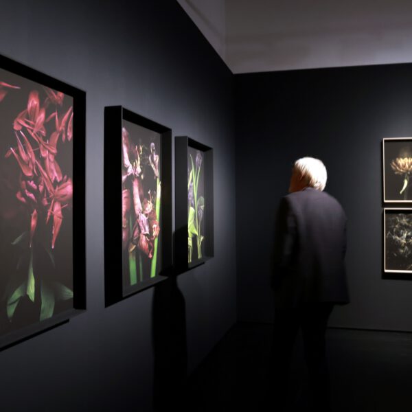 Michaela Bruckmüller - Tiefer als der Tag, 5.9.2025 Michaela Bruckmüller Tiefer als der Tag, 5 9 2025