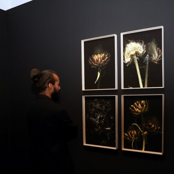 Michaela Bruckmüller - Tiefer als der Tag, 5.9.2025 Michaela Bruckmüller Tiefer als der Tag, 5 9 2025