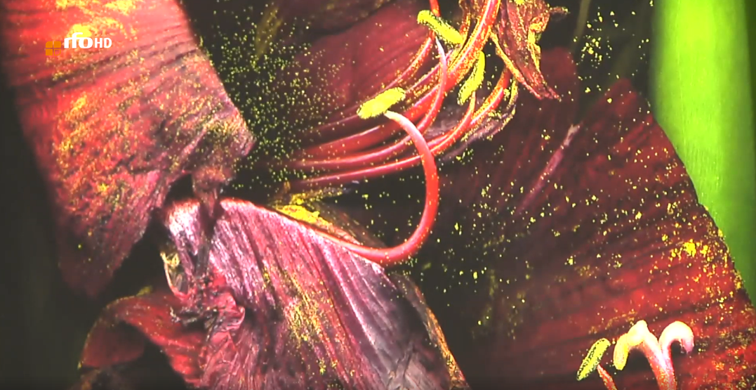 Screenshot 2025-09-04 at 10-12-26 Bruckmüller Tiefer als der Tag in Burghausen rfo Screenshot 2025 09 04 at 10 12 26 Bruckmüller Tiefer als der Tag in Burghausen rfo