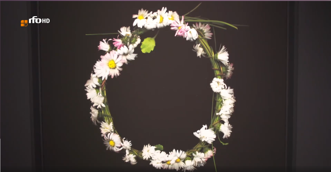 Screenshot 2025-09-17 at 16-12-13 Tiefer als der Tag – Die faszinierende Welt der Michaela Bruckmüller rfo Screenshot 2025 09 17 at 16 12 13 Tiefer als der Tag – Die faszinierende Welt der Michaela Bruckmüller rfo