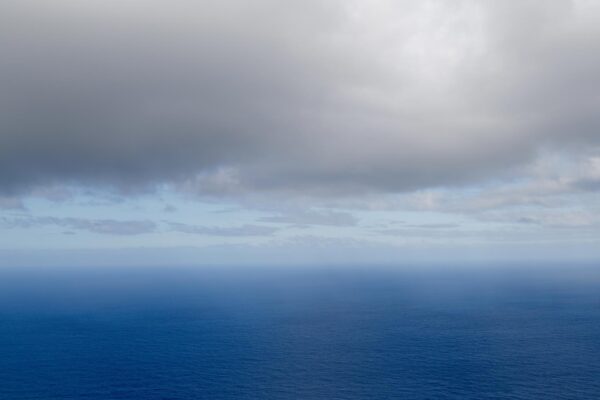 L1004279-web L1004279 web