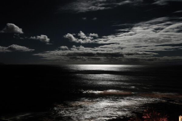 L1004329-web L1004329 web