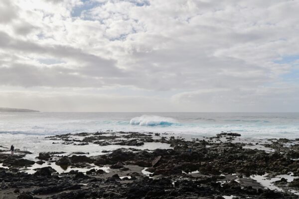 L1004411-web L1004411 web