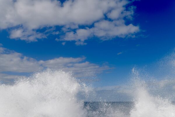 L1004585-web L1004585 web