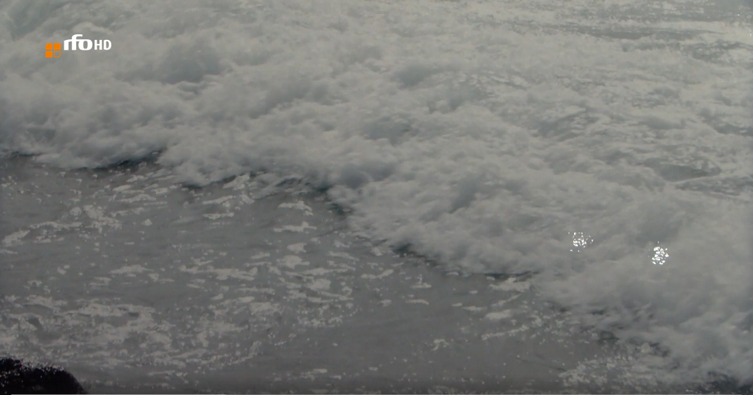 Screenshot 2026 03 18 at 11 34 45 Fast Nass im Haus der Fotographie rfo