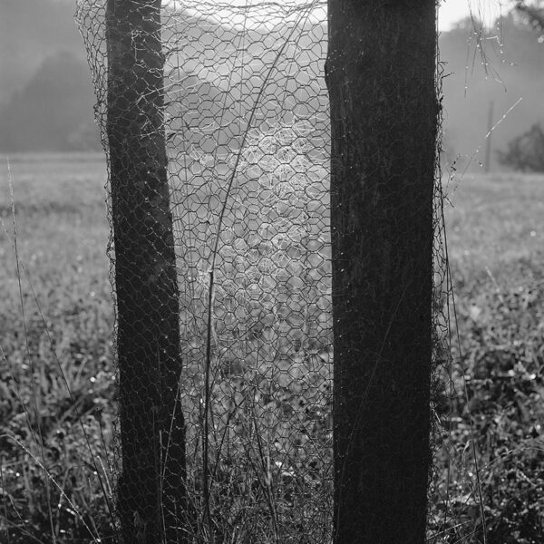 Von Gagern Baumdraht 2011 600x600