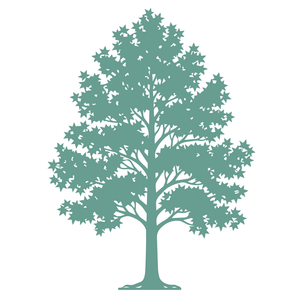 Icons transparent3